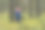 在老松林中蹒跚学步的孩子的后视图图片下载