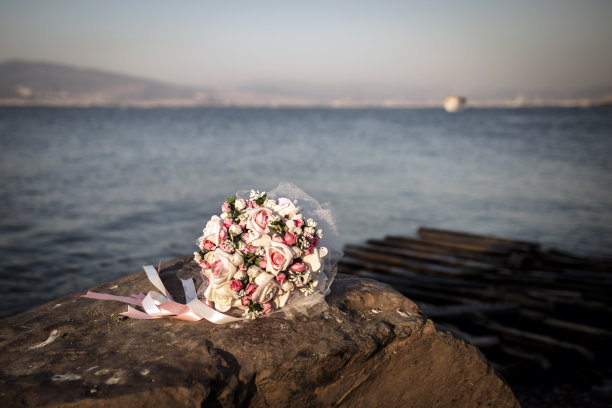 新娘花图片下载