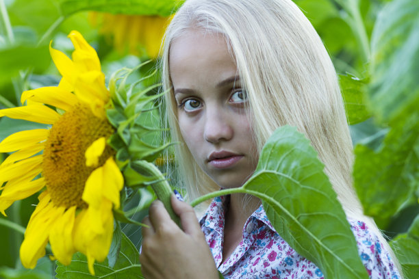 少女与向日葵图片下载