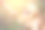 人与狗之间的友谊——握手和握手图片下载