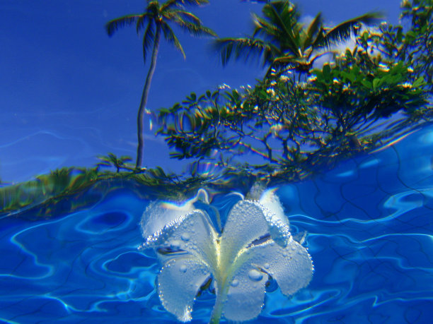 天堂的水图片下载