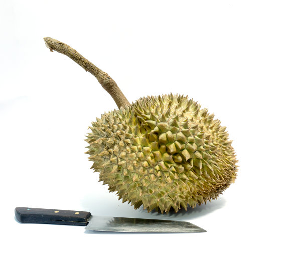 白色背景上的榴莲和小刀图片下载