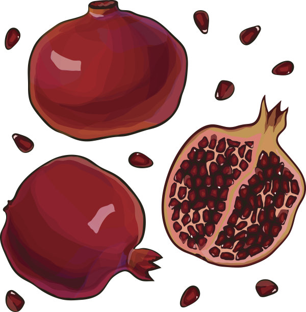 整个和切割的石榴图标集。图片下载