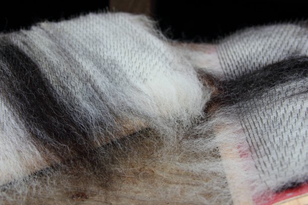 手牌羊毛图片下载