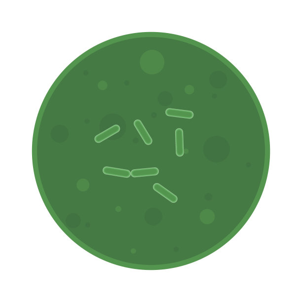 细菌矢量图图片下载