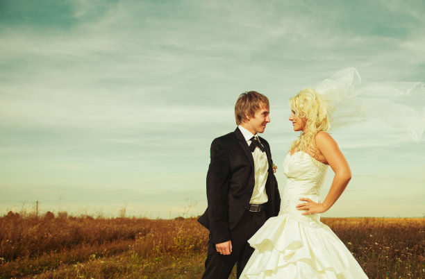 乡村落日下的新婚夫妇图片下载