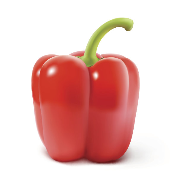 红色灯笼椒孤立在白色背景上。矢量图图片下载