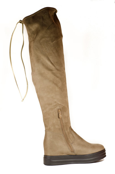 布朗女士引导图片下载