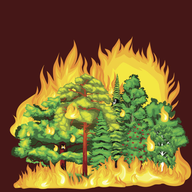 森林火灾，在景观破坏，自然生态灾害，热燃烧图片下载