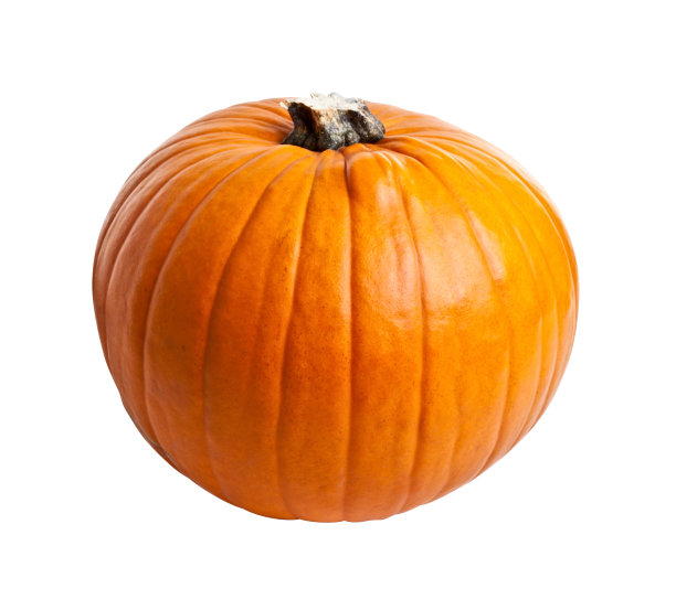 万圣节白南瓜图片下载