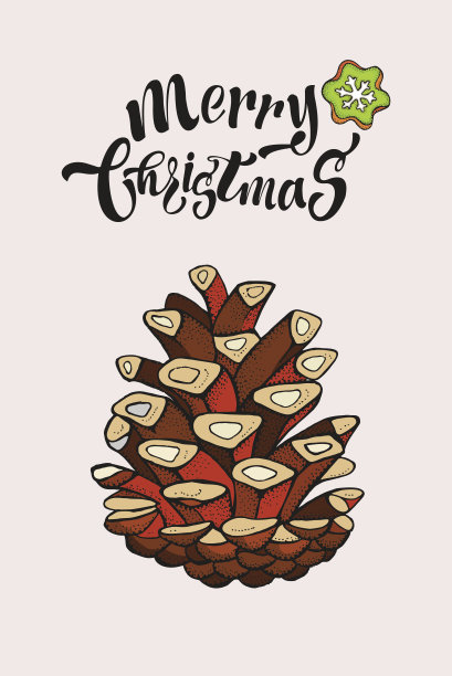 圣诞快乐手绘卡片。冷杉球果。图片下载