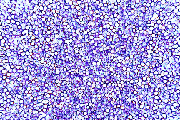 明亮抽象的多色背景图片下载