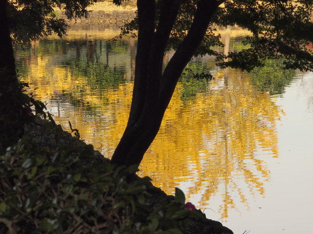 秋天的水面风光图片下载