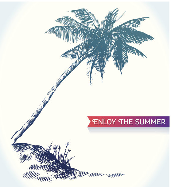 矢量素描海滩与棕榈树和缎带图片下载
