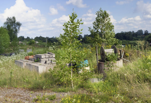 在夏天的树林里建起的农舍。全景夏季景观从几张照片图片下载