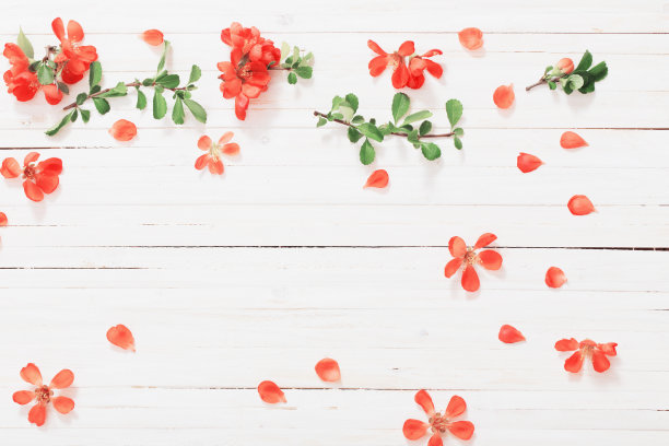 夏日背景素材ID：160752652