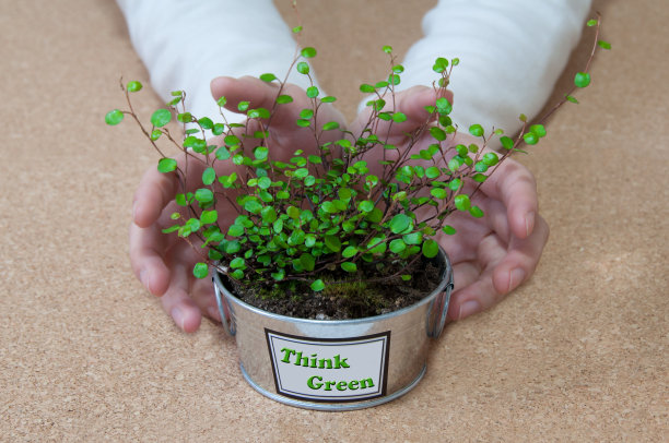 认为绿色图片下载