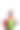 吃酸甜苹果的女人图片下载