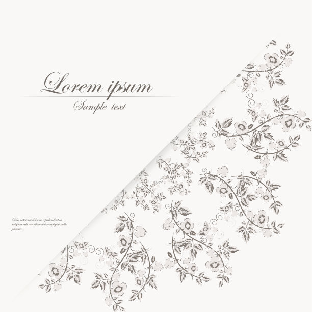 矢量模板的文件夹，名片和邀请图片下载