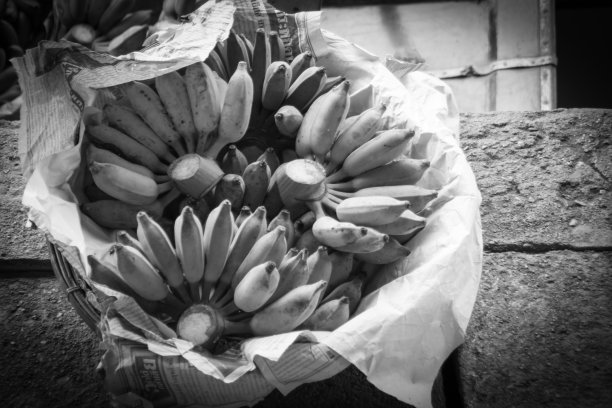 种植香蕉图片下载