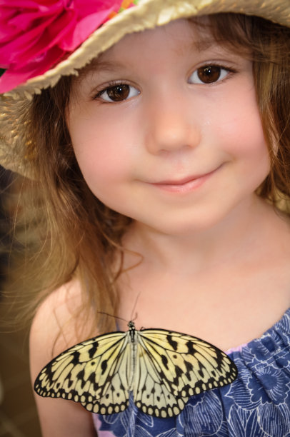 蝴蝶的女孩图片下载