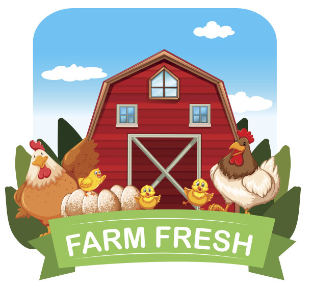 农场新鲜主题鸡和谷仓图片下载