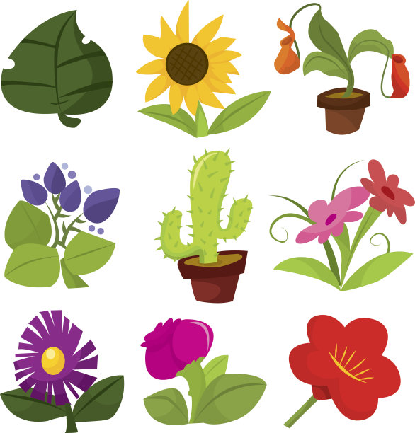 鲜花和植物图片下载