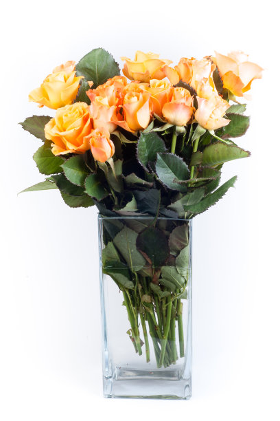 束玫瑰图片下载