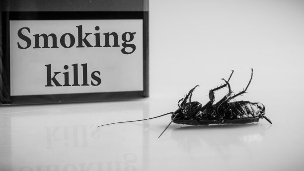 因吸烟而死亡图片下载