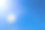 蒲公英种子2图片下载