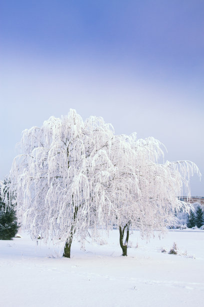 冬天的故事图片下载