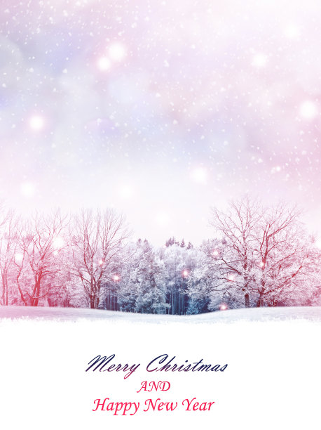 冬天的风景。图片下载