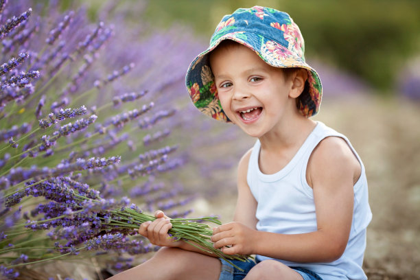 可爱的小男孩戴着一顶帽子在薰衣草地里图片下载