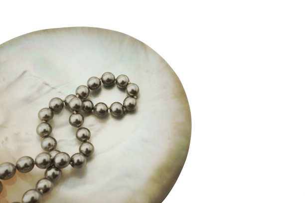 灰色珍珠在贝壳上与副本空间图片下载