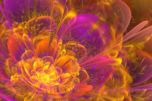 橙紫分形花图片下载