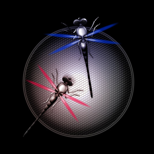 未来机器人蜻蜓在扬声器的封面上图片下载