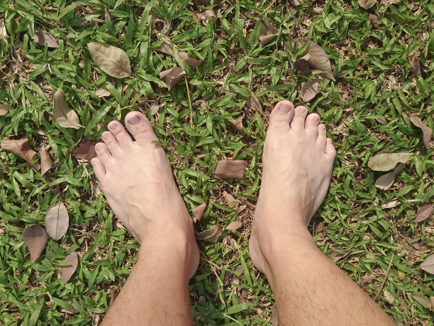 脚踩在绿色的草地和干燥的树叶上图片下载