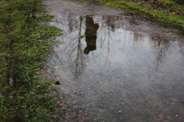 大水坑和男人的倒影图片下载