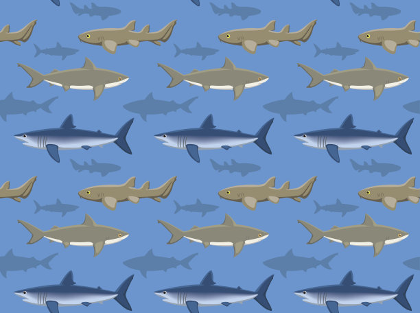 鲨鱼壁纸2图片下载