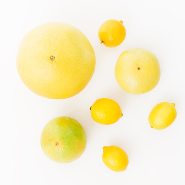 白底上有柚子、柠檬、橘子和甜橙。平躺，俯视图。食品的背景图片下载
