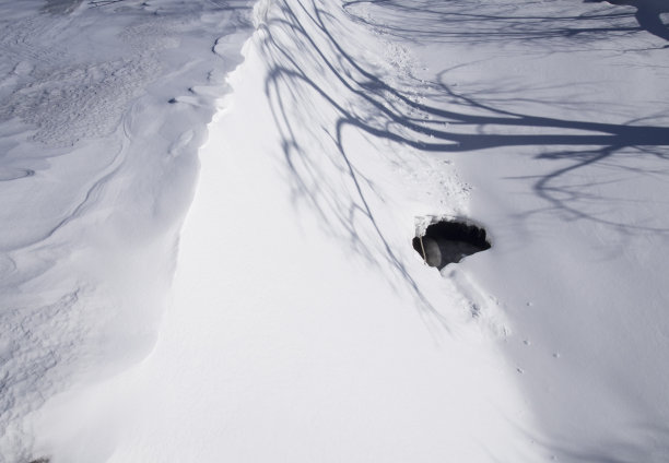 冰雪覆盖的河流上的洞图片下载