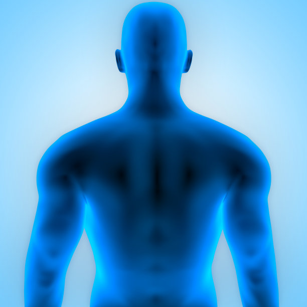 人体男性肌肉图片下载