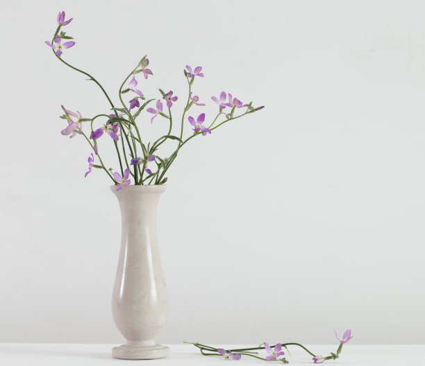 白底花瓶上的花图片下载