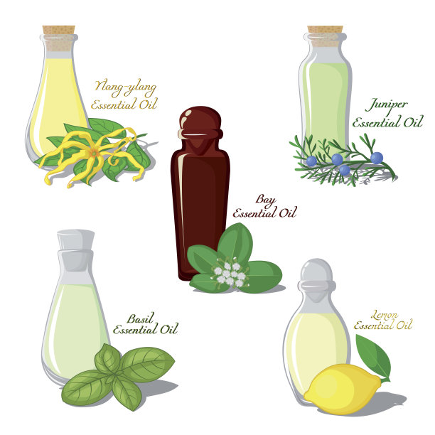 精油图解图片下载