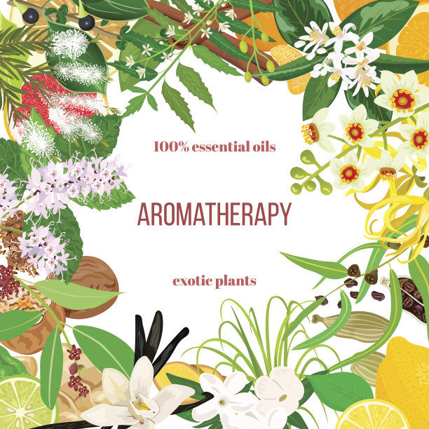 大集香精油异国植物。装饰与文本。香草、肉桂、茉莉花、茶树、佛手柑、檀香、广藿香等。图片下载