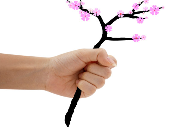 手,樱花图片下载