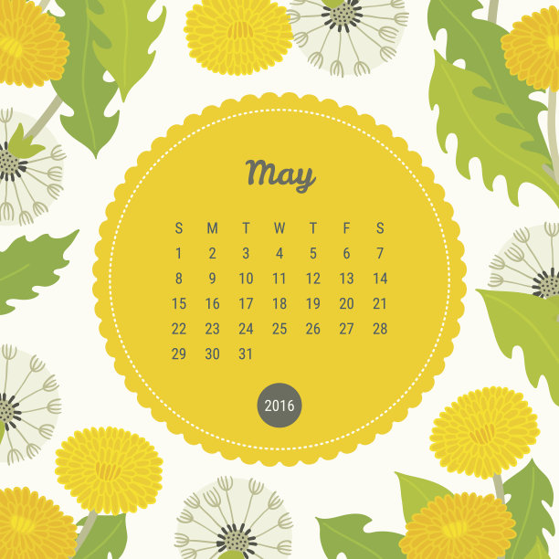 日历模板2016与花卉背景。蒲公英的花。五月图片下载