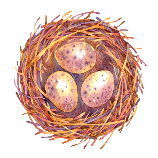 水彩复活节巢图片下载