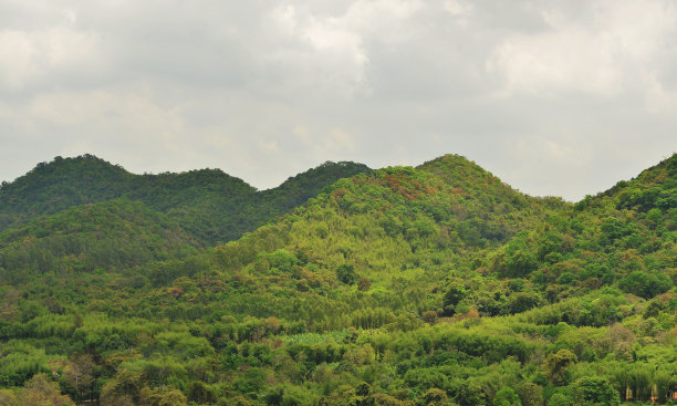 泰国春武里斯腊差的青山景观图片下载