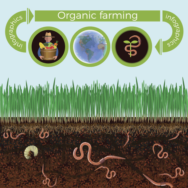 地面剖面图图片下载